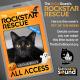 KCSN RockstarRescue PotW 102725 CreateOutlines IG SQUARE 1080x1080