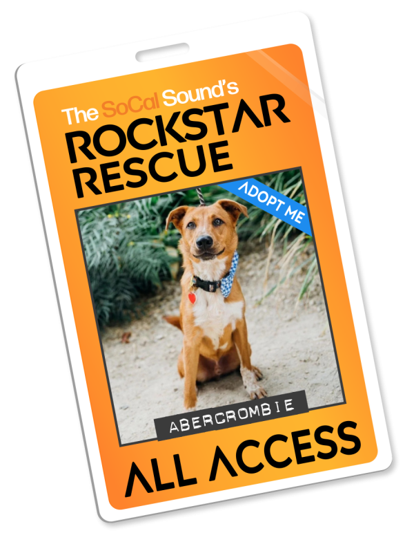 KCSN RockstarRescue PotW 032526 Pass