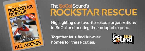 KCSN RockstarRescue General 071425 6 1130x400