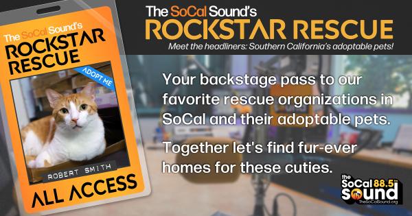 KCSN RockstarRescue PotW 010725 FACEBOOK 1200x630