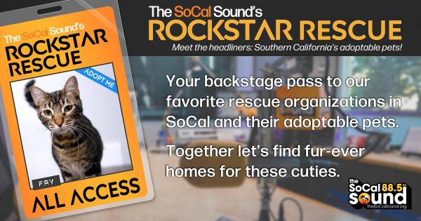 KCSN RockstarRescue PotW 012126 CreateOutlines FACEBOOK 1200x630 r1