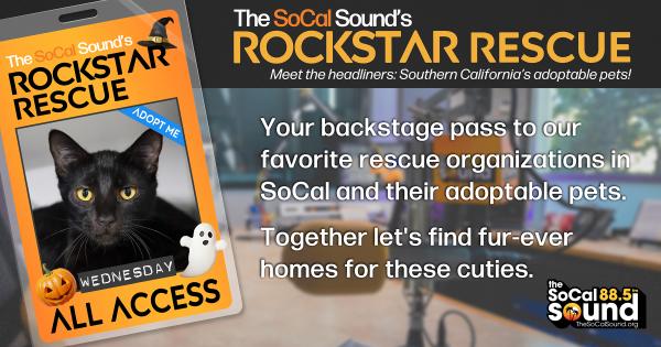 KCSN RockstarRescue PotW 102725 CreateOutlines FACEBOOK 1200x630