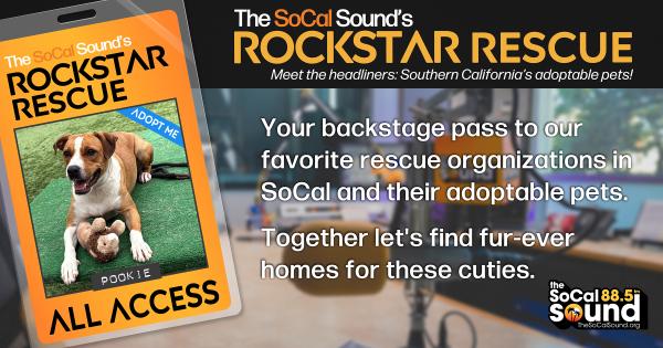 KCSN RockstarRescue PotW 112525 CreateOutlines FACEBOOK 1200x630